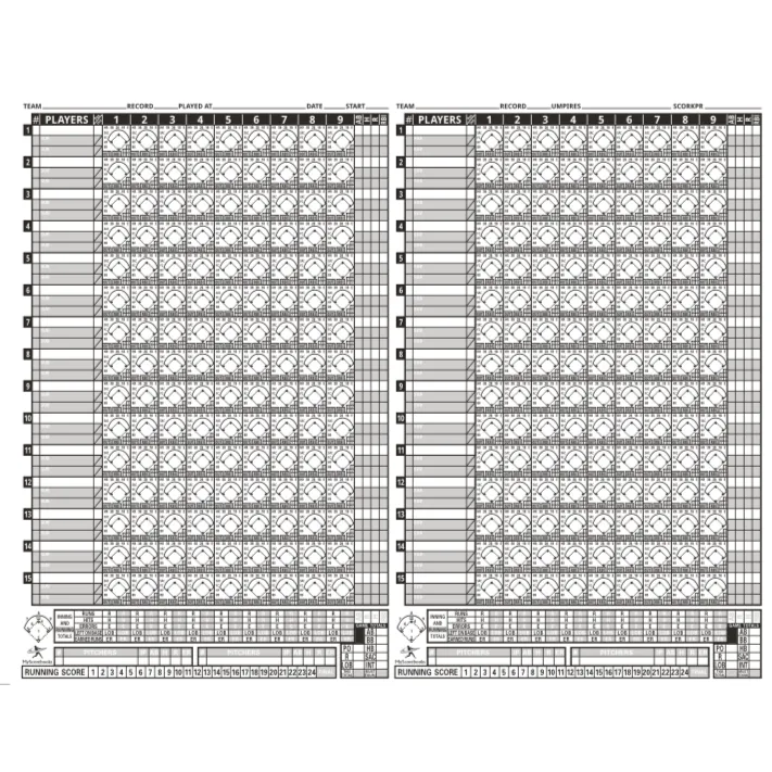 Diamond Sport Gear 15 Player Side by Side Scorebook: MSBXLG15